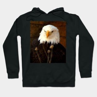 Standing Eagle Hoodie